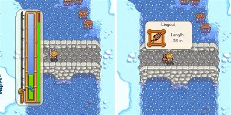 bacalao largo stardew|Lingcod Fishing : r/StardewValley .